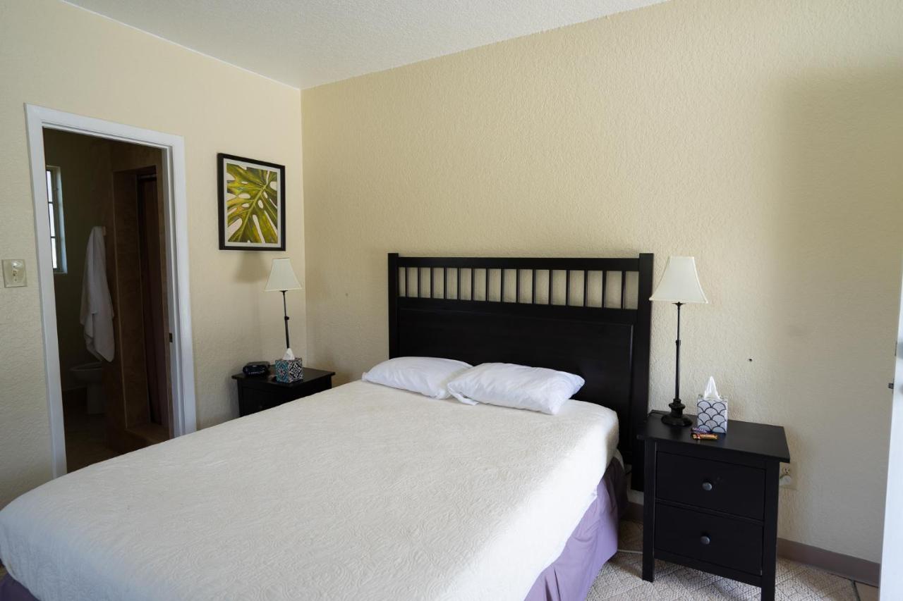 Mar Bay Exclusive Suites Safety Harbor Eksteriør billede