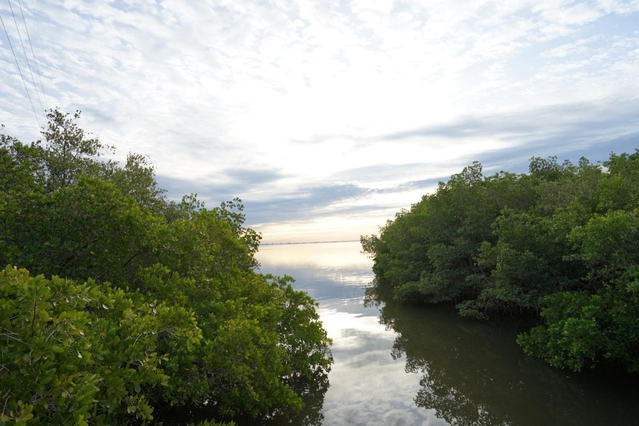 Mar Bay Exclusive Suites Safety Harbor Eksteriør billede