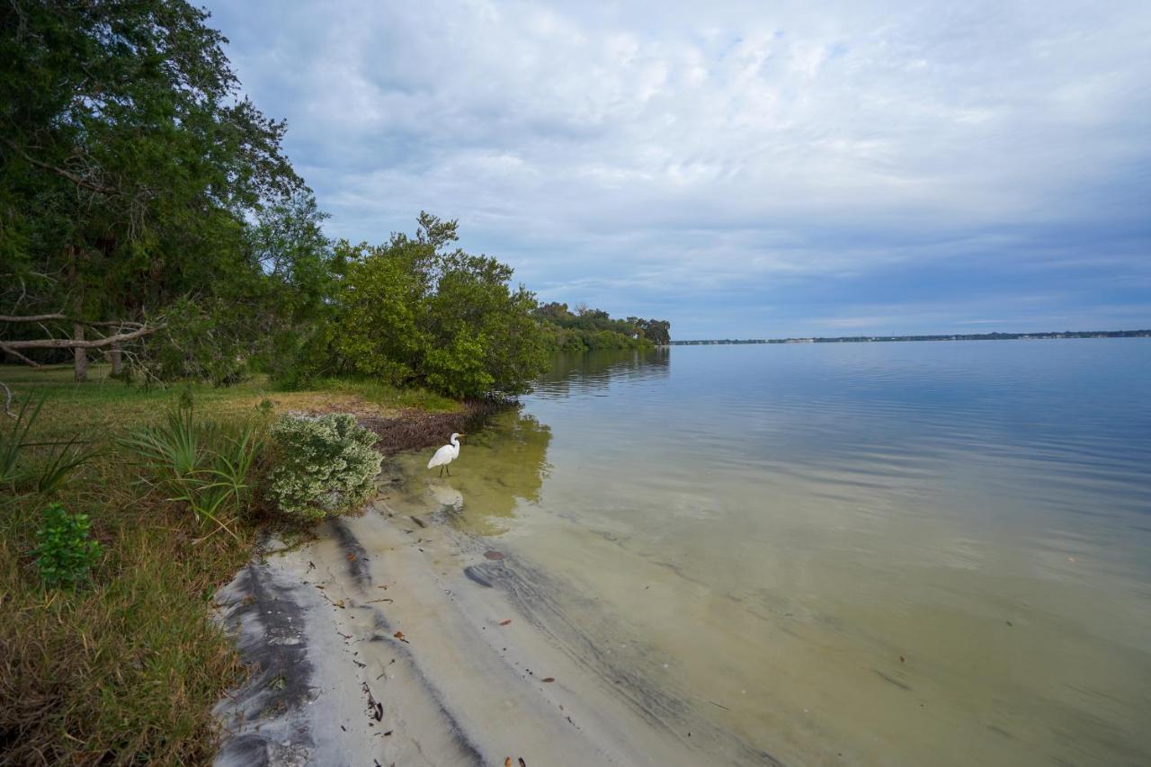 Mar Bay Exclusive Suites Safety Harbor Eksteriør billede