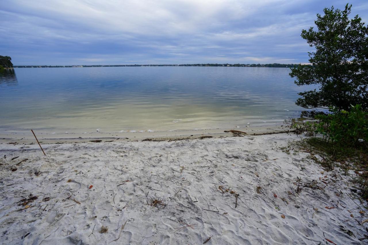 Mar Bay Exclusive Suites Safety Harbor Eksteriør billede